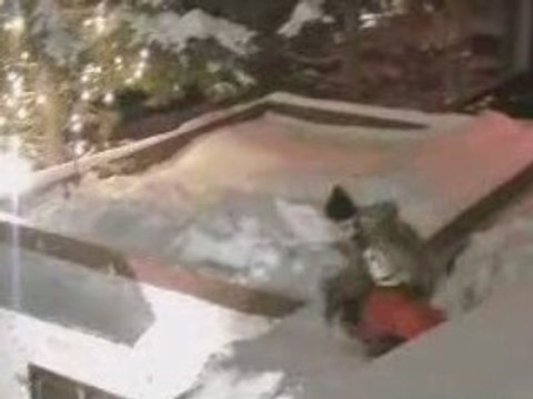 anthony brotto promo video 2008