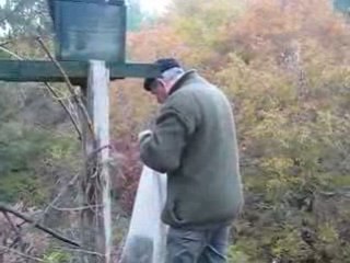 Palombière - Novembre 2008