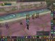 WoW : Darnassus capitale de World of Warcraft