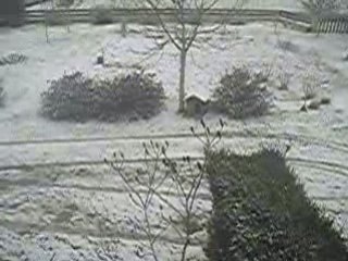 neige en novembre 2008.