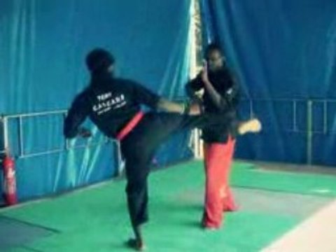 Gendaï Vo System Vanves Septmebre 2008