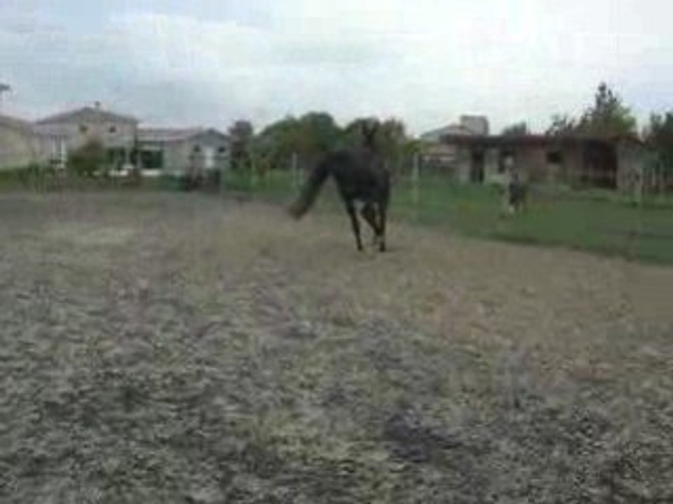 DSCN1805