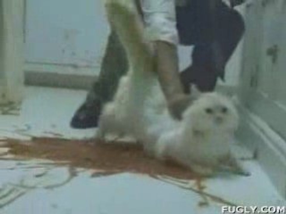 Ne jugez pas trop vite (dans la cuisine)