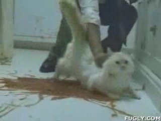 Ne jugez pas trop vite (dans la cuisine)