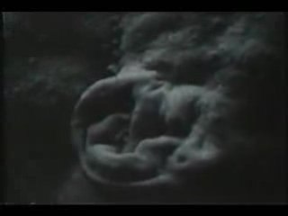 23 Skidoo  ~  IY...