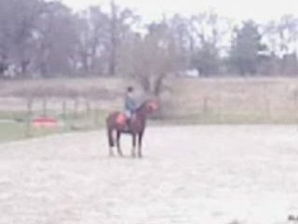 Magica novembre 2008