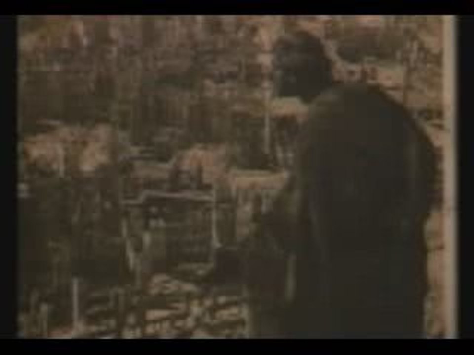 Die Macht  ~  Dresden...