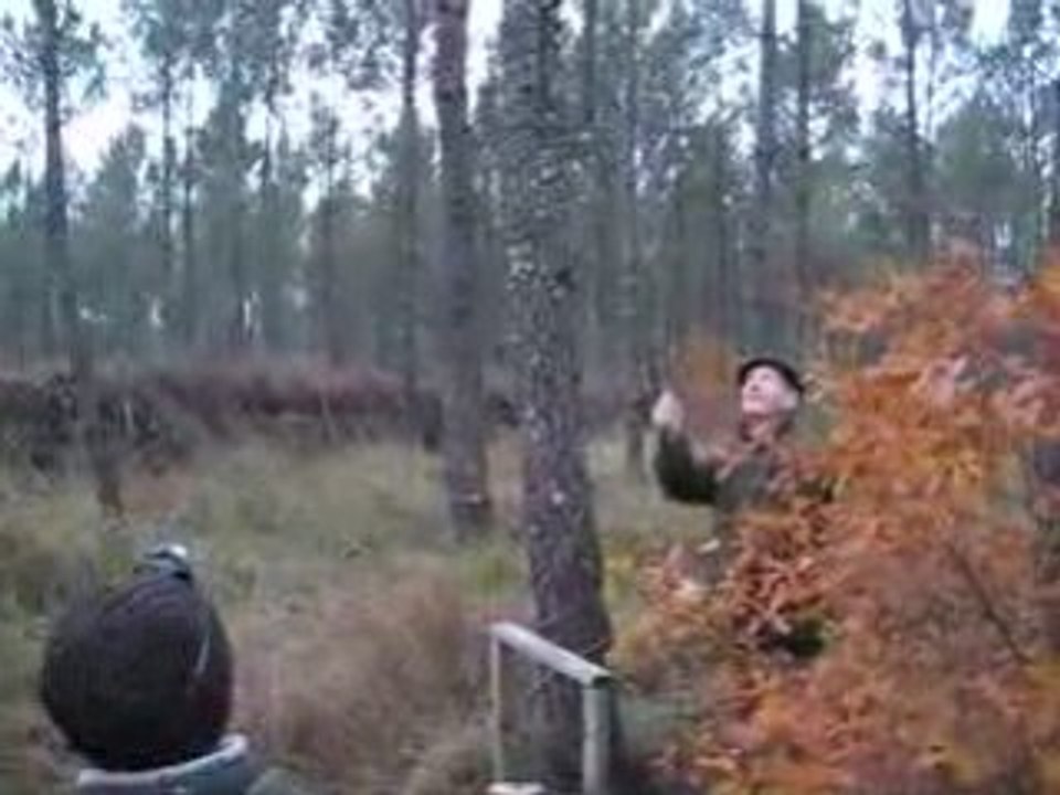 Palombière - Novembre 2008