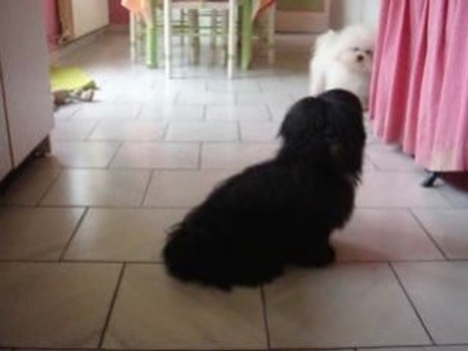 Curly et dior ce jour de decembre