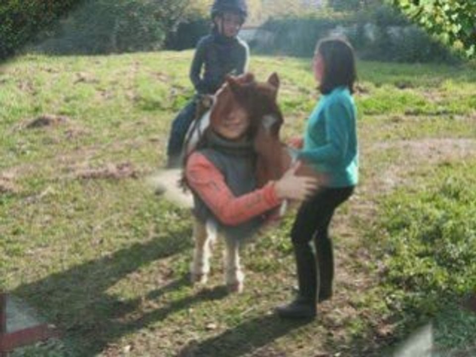 Bufalo une vie.