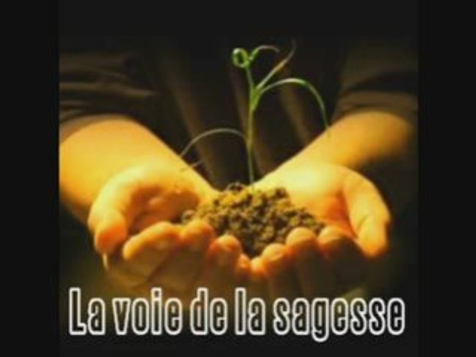 Cheikh Ibn Outhaymine ( La voie de la sagesse )