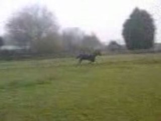 Nanoune en Pature !)