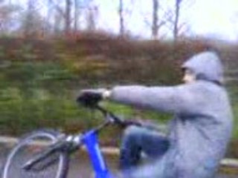 Moi dido en velo
