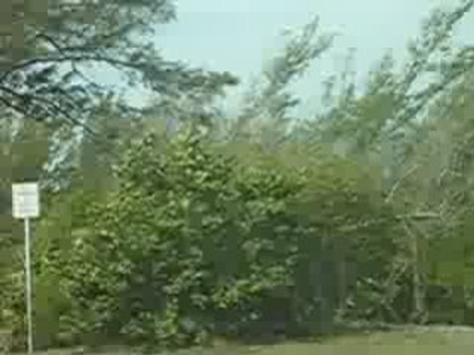 Amerika  -  Mexico 333