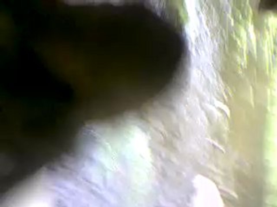 IMAG0192
