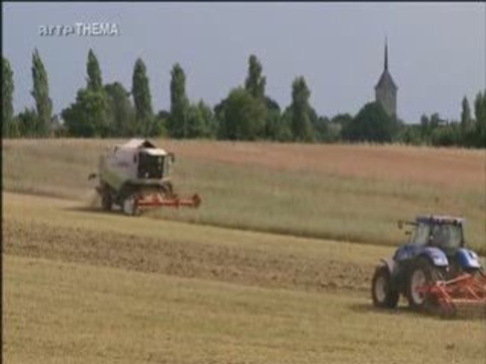 Crise (4sur5) Alimentaire