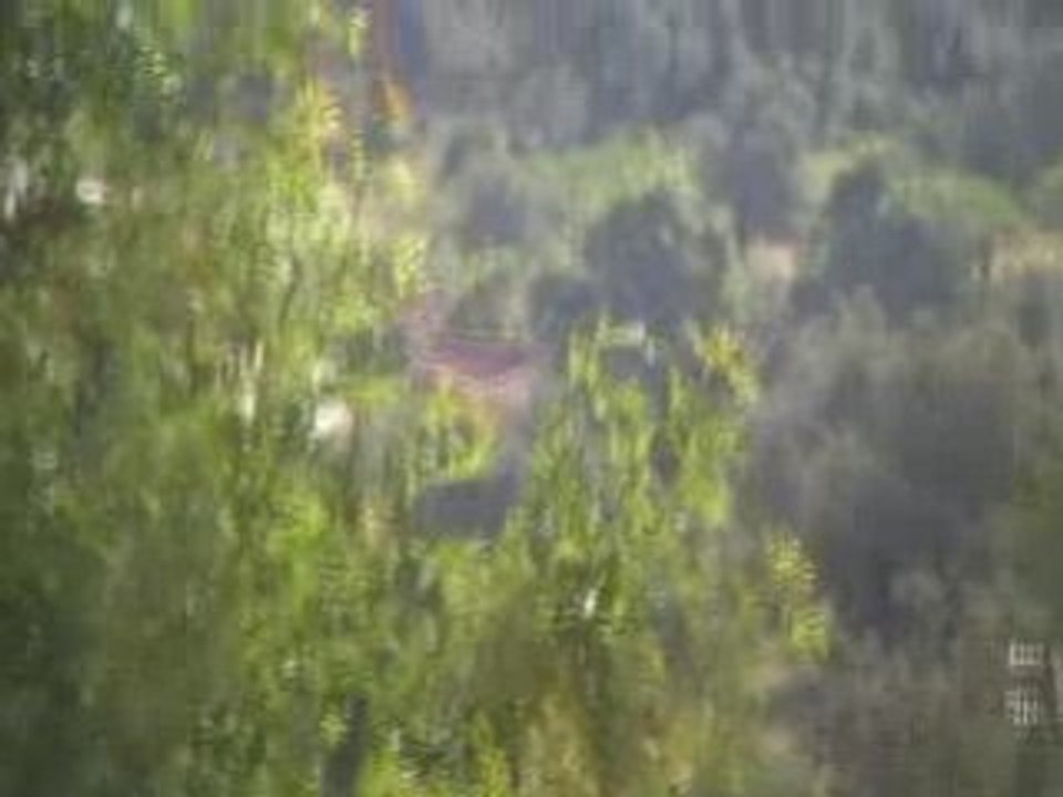 beaux paysages kabyles au printemps