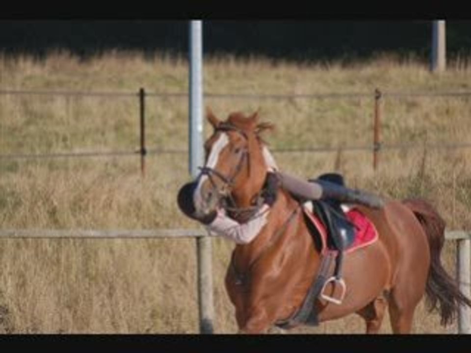 Alicechutte_0001
