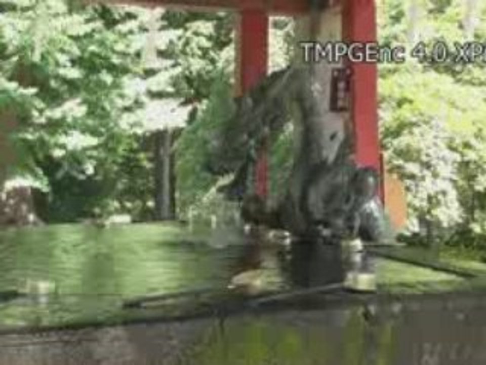 temple dragon