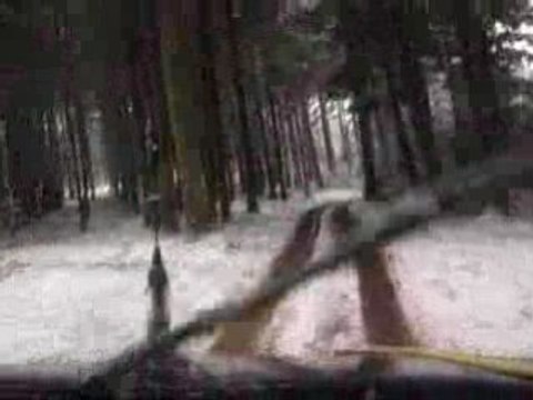 Bonne et Heureuse Année 2009