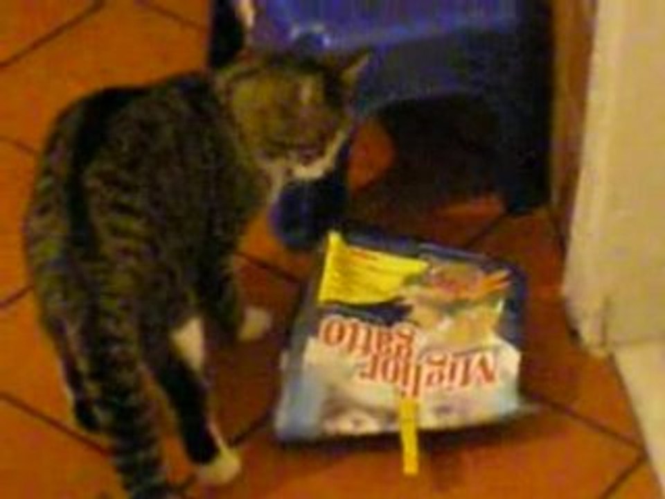 Video Tino 001