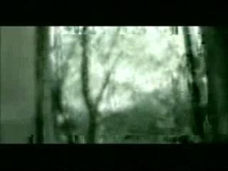 Amon Amarth - The Pursuit Of Vikings