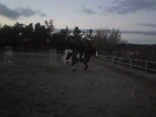 samedi journée obstacle