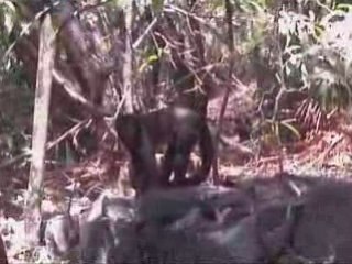 20081009 - Iles du Salut