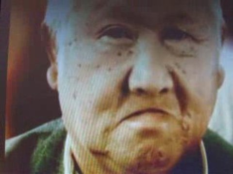 Manu chao clandestino