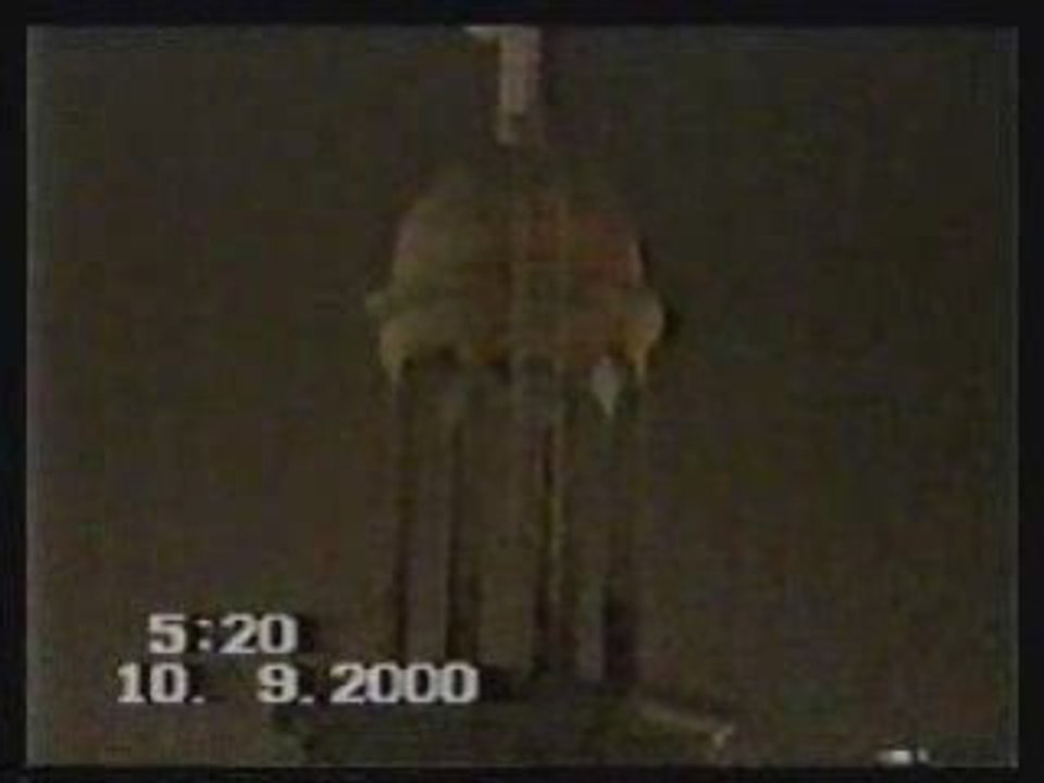 Assiut16