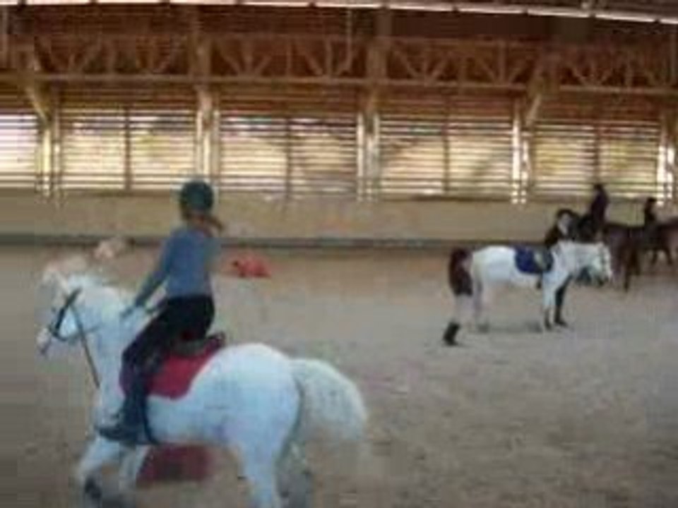 Moi et Frisson au Perf Obstacle avec Geo