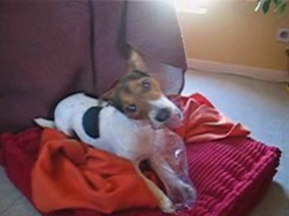 Daïa VS la bouteille!