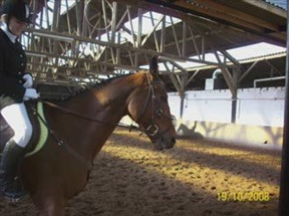 Concour Obstacle