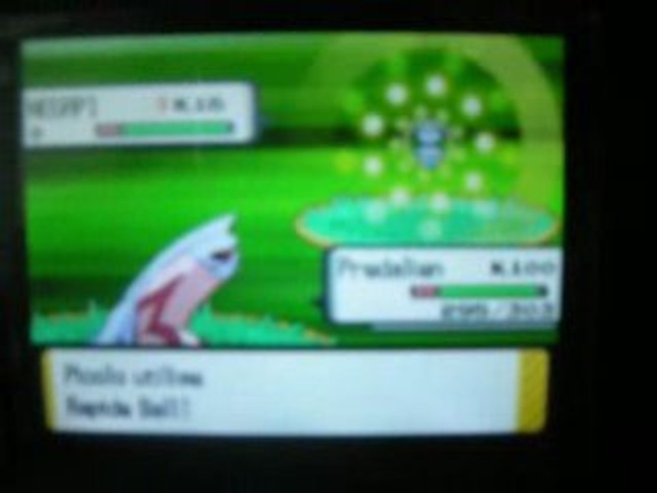 Negapi Shiney