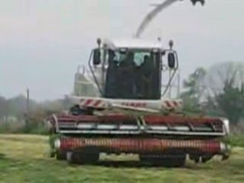 Ensileuse claas serie limité