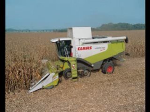 Moissonneuse et ensileuse claas