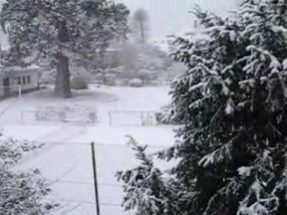 TOMBE LA NEIGE 23 NOV 2008