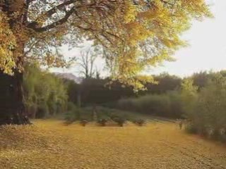 Souviens toi d'Anne Lorraine