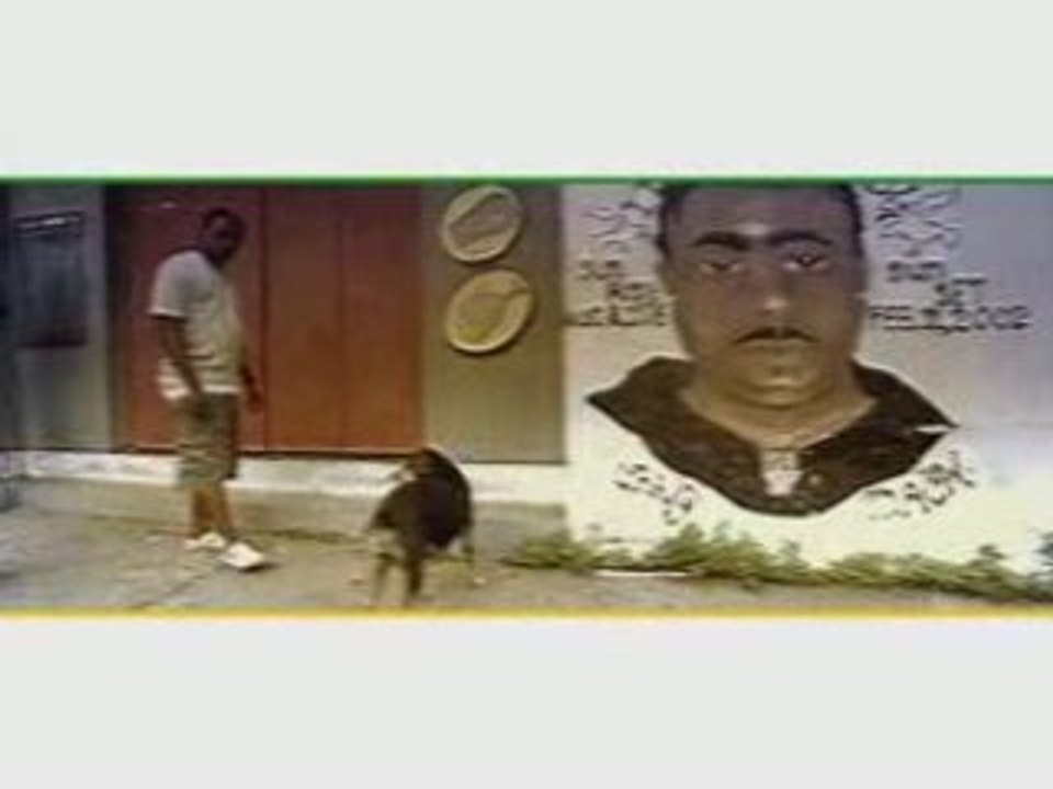 ROHFF FEAT JUNIOR REID PROGRESS
