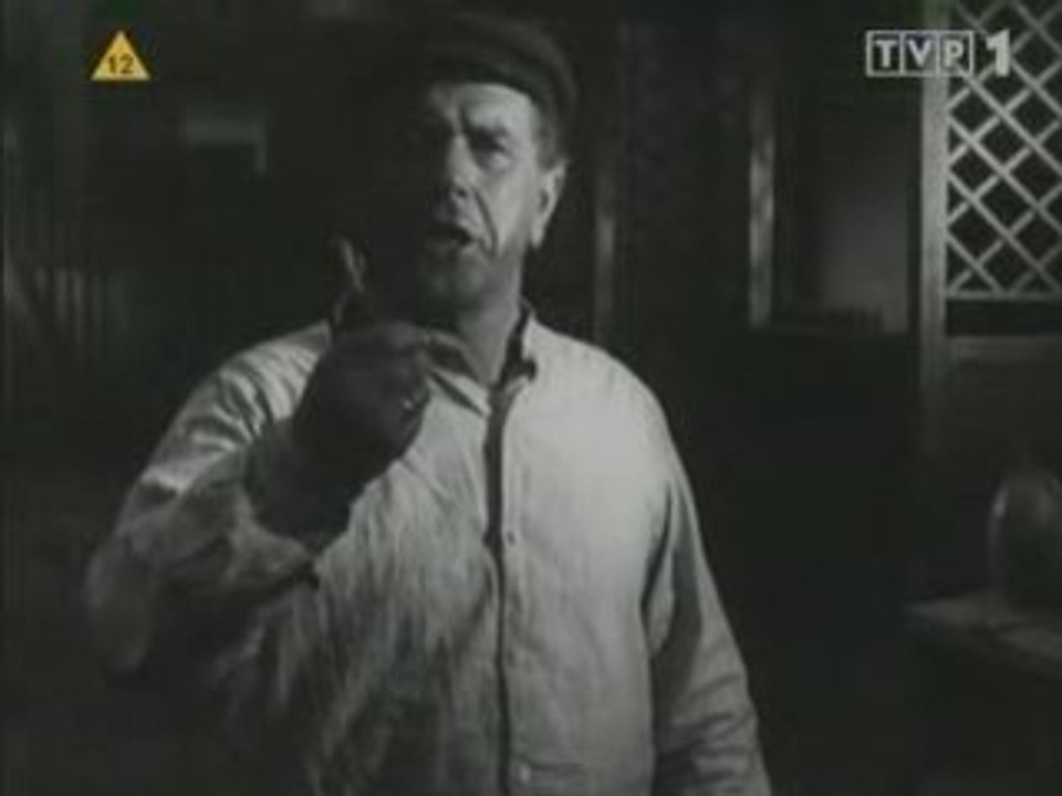 Sami swoi