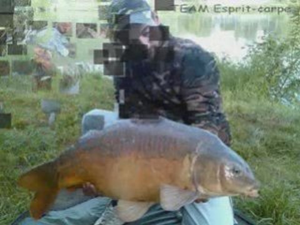 Team esprit carpe
