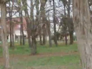 avion télécommandé