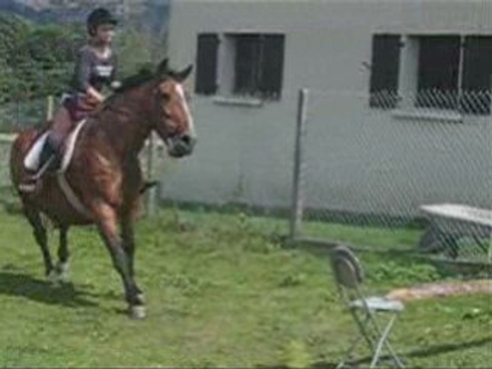 Petit trot cheval