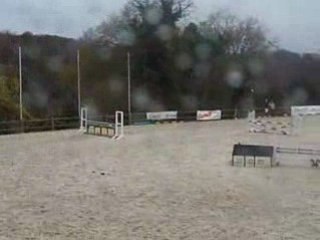 elvis et moi sur la D3p