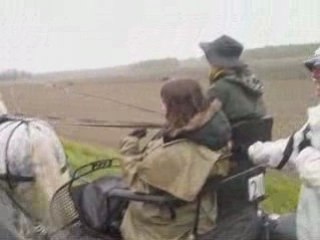 Plaisirs de l'attelage