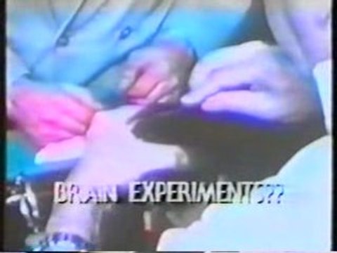 Choc Chats,chatons ...horrible vivisection recherche !