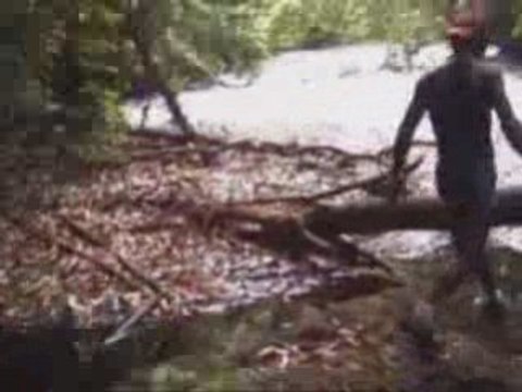 20081003 - Ballade vers les autres cascades 1