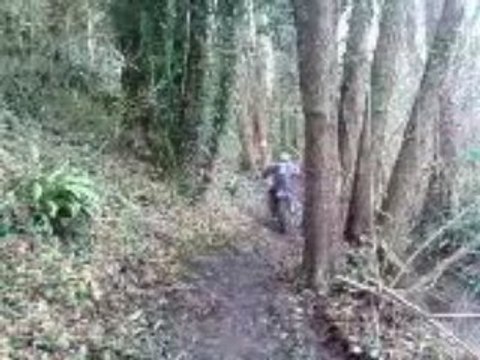 enduro des bois