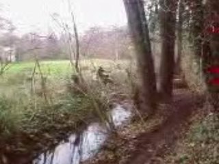 enduro des bois