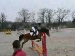 D3 PONAM Du 23/11/08